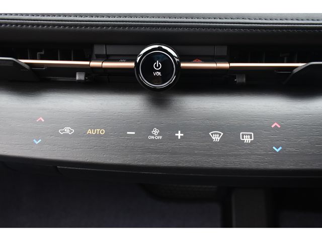 NISSAN ARIYA 2024 Image 31