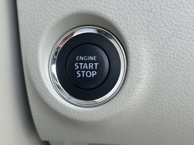 SUZUKI ALTO LAPIN 2020 Image 31