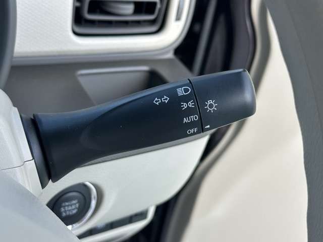 SUZUKI ALTO LAPIN 2020 Image 31