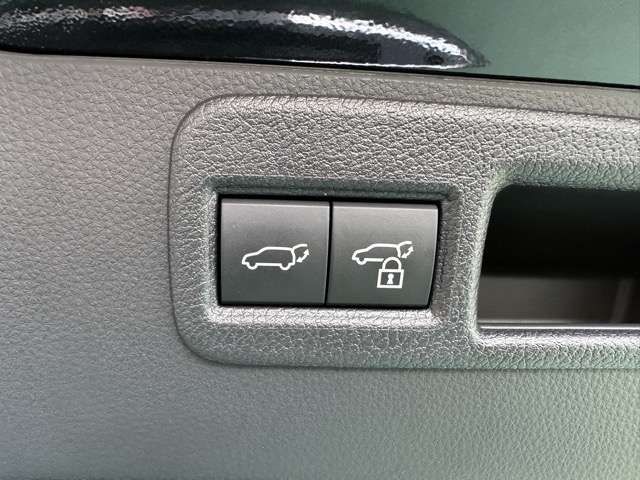 TOYOTA HARRIER HYBRID 2025 Image 31