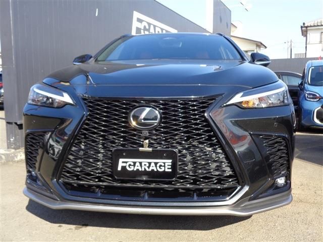 TOYOTA LEXUS NX350H 2022 Image 31