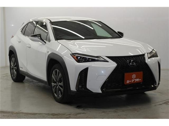 TOYOTA LEXUS UX250H 2019 Image 31