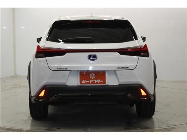 TOYOTA LEXUS UX250H 2019 Image 31