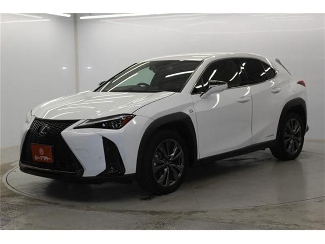 TOYOTA LEXUS UX250H 2019 Image 31