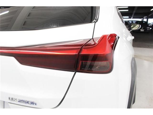 TOYOTA LEXUS UX250H 2019 Image 31