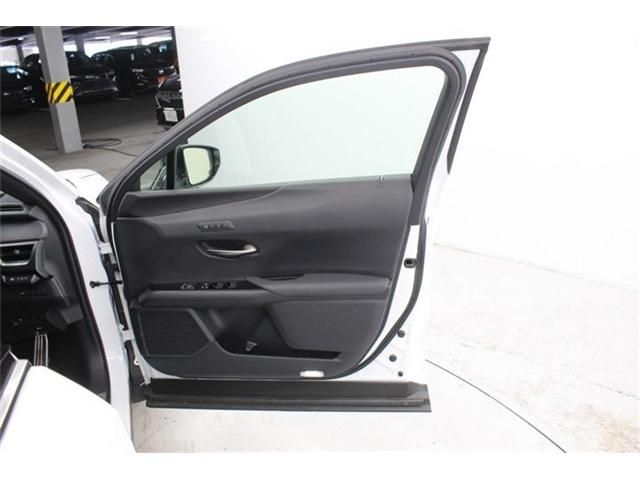 TOYOTA LEXUS UX250H 2019 Image 31