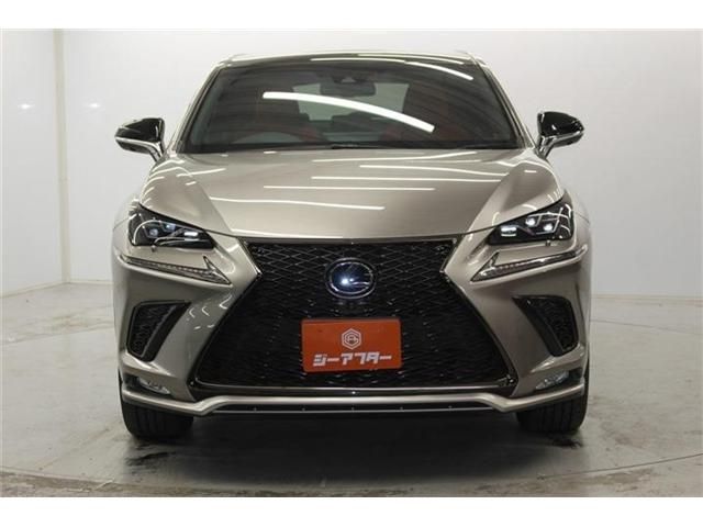 TOYOTA LEXUS NX300H 2018 Image 31