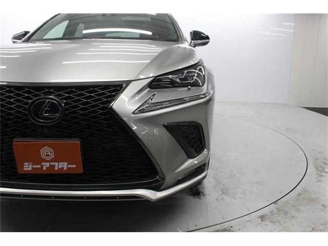 TOYOTA LEXUS NX300H 2018 Image 31