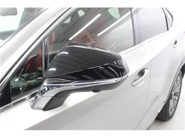 TOYOTA LEXUS NX300H 2018 Image 31