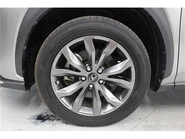 TOYOTA LEXUS NX300H 2018 Image 31