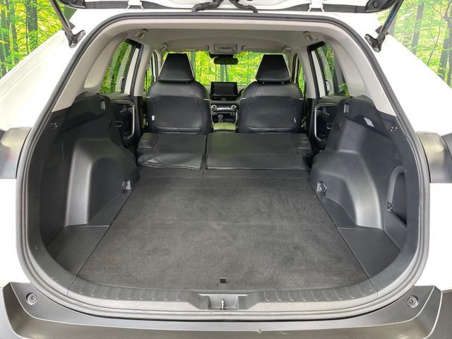 TOYOTA RAV4 HYBRID 2WD 2019 Image 31