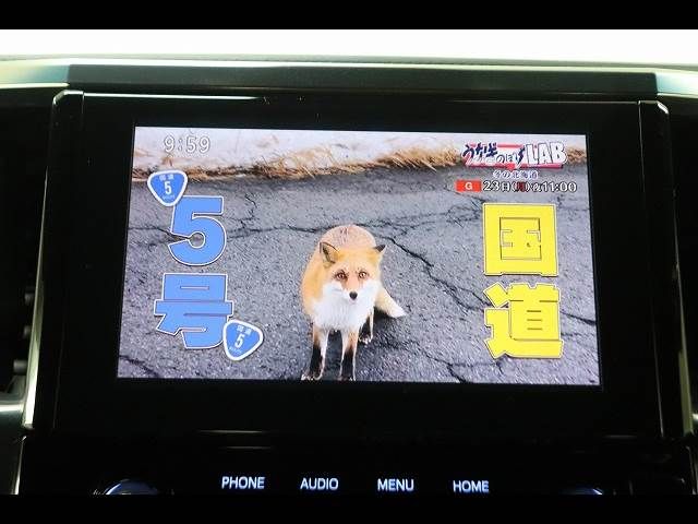 TOYOTA ALPHARD 2020 Image 31