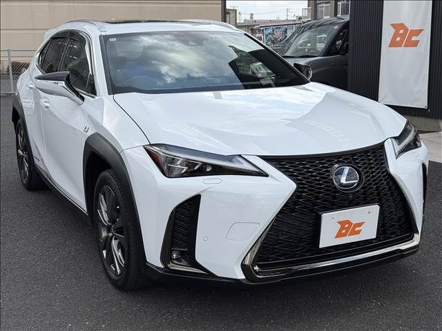 TOYOTA LEXUS UX250H 2020 Image 31