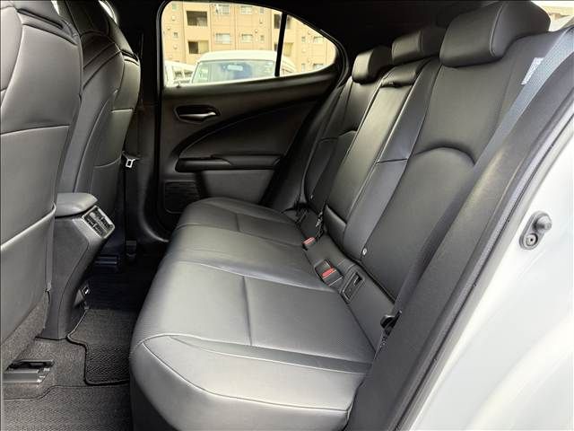 TOYOTA LEXUS UX250H 2020 Image 31