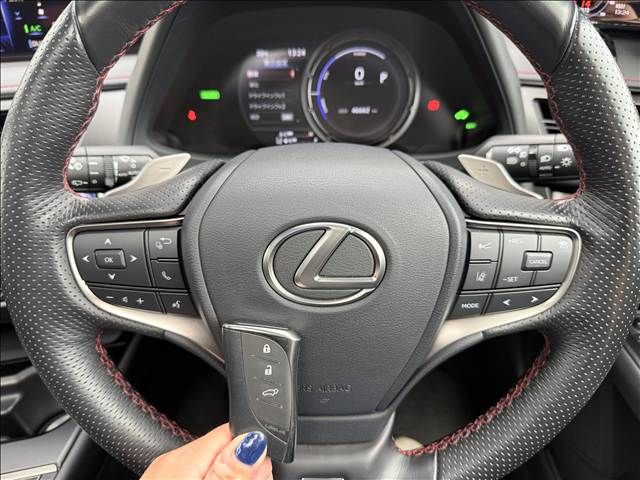 TOYOTA LEXUS UX250H 2020 Image 31