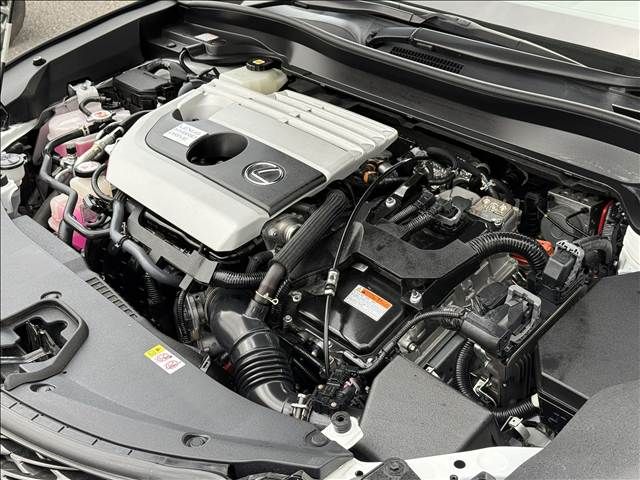 TOYOTA LEXUS UX250H 2020 Image 31