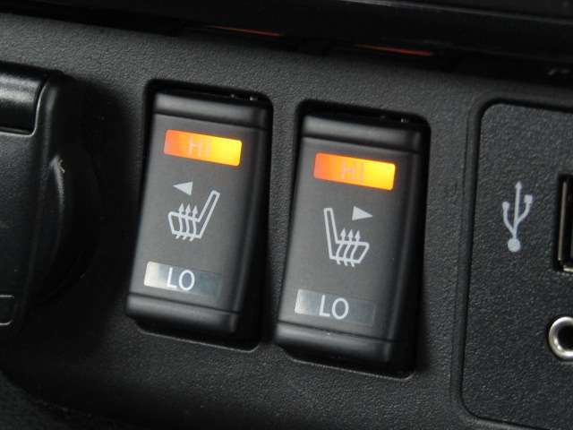 NISSAN LEAF 2019 Image 31