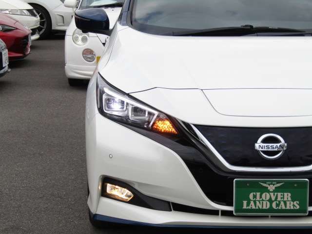 NISSAN LEAF 2019 Image 31