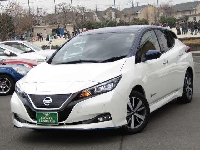 NISSAN LEAF 2019 Image 31