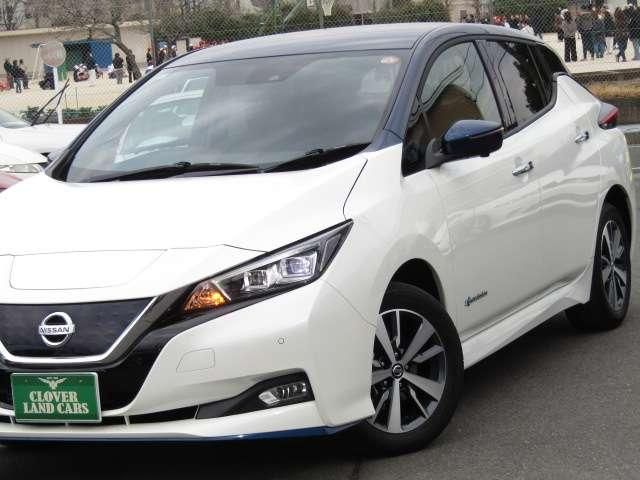 NISSAN LEAF 2019 Image 31