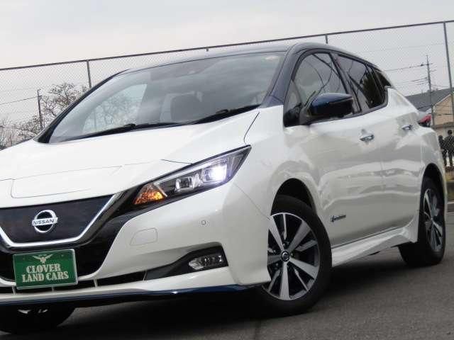 NISSAN LEAF 2019 Image 31