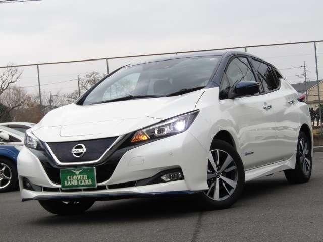 NISSAN LEAF 2019 Image 31