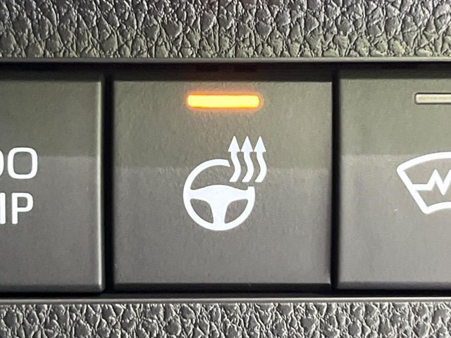 TOYOTA RAV4 4WD 2024 Image 31