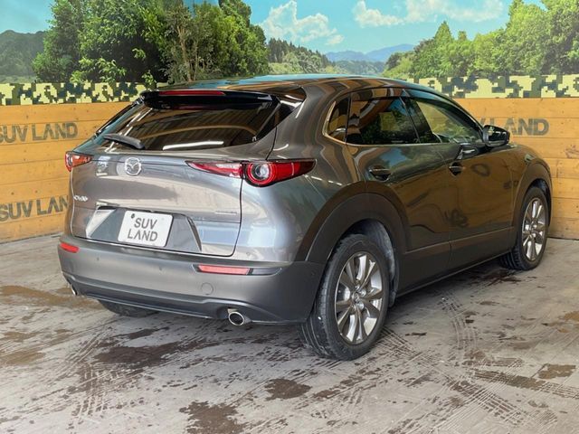 MAZDA CX-30 2020 Image 31
