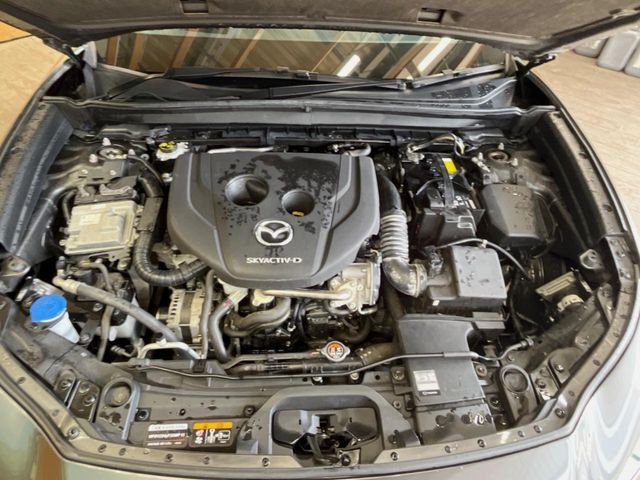 MAZDA CX-30 2020 Image 31