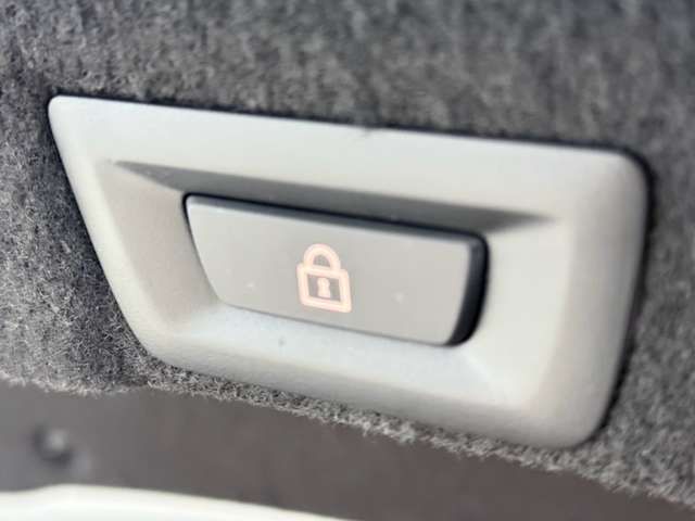 BMW M6 2016 Image 31