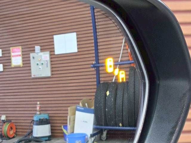 TOYOTA LEXUS NX250 2024 Image 31