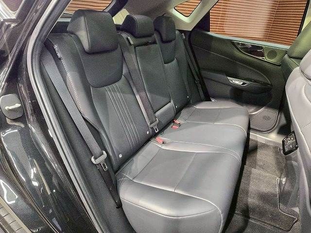 TOYOTA LEXUS NX250 2024 Image 31