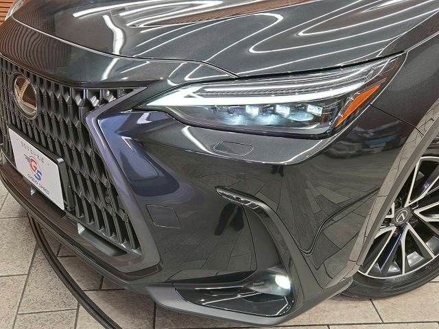 TOYOTA LEXUS NX250 2024 Image 31