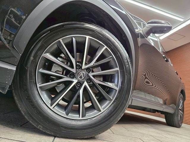 TOYOTA LEXUS NX250 2024 Image 31