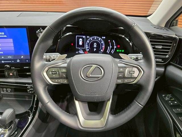 TOYOTA LEXUS NX250 2024 Image 31