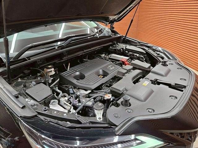 TOYOTA LEXUS NX250 2024 Image 31