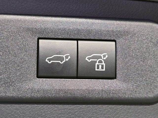 TOYOTA LEXUS NX250 2024 Image 31