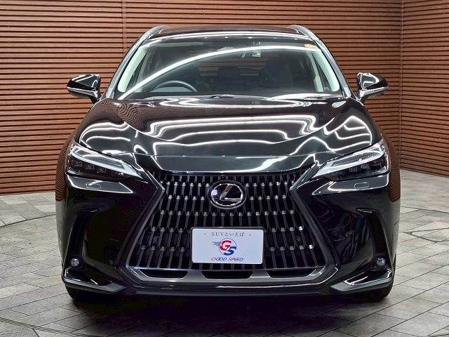 TOYOTA LEXUS NX250 2024 Image 31
