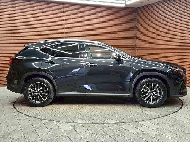 TOYOTA LEXUS NX250 2024 Image 31