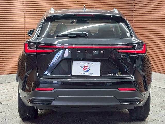 TOYOTA LEXUS NX250 2024 Image 31
