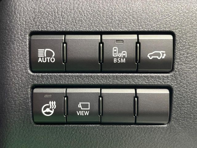 TOYOTA LEXUS NX300 2019 Image 31