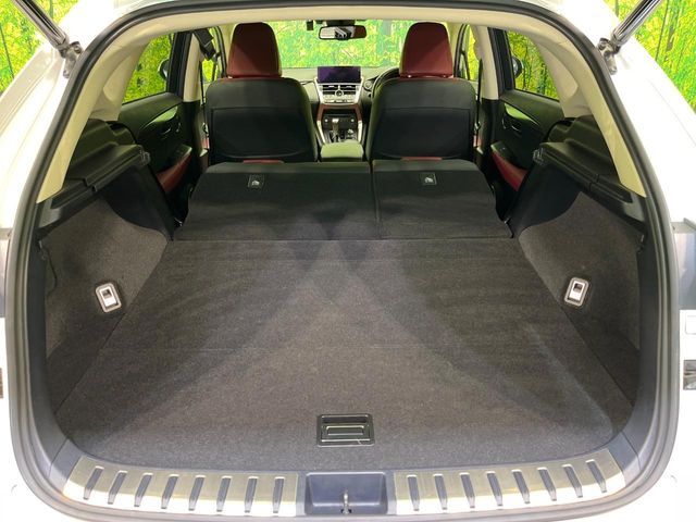 TOYOTA LEXUS NX300 2019 Image 31