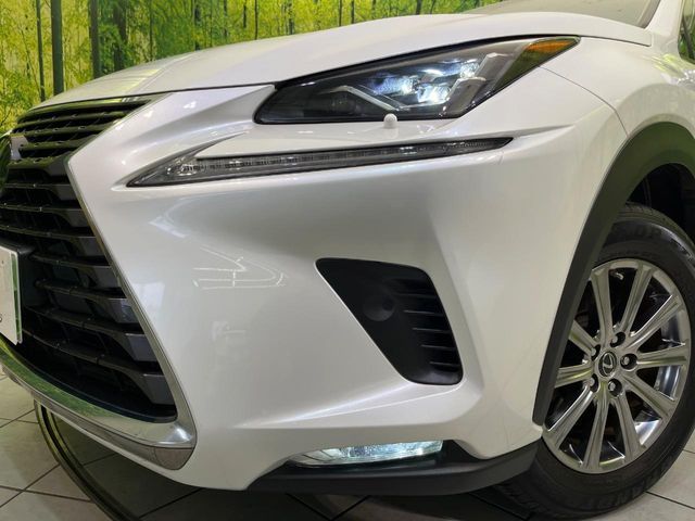 TOYOTA LEXUS NX300 2019 Image 31