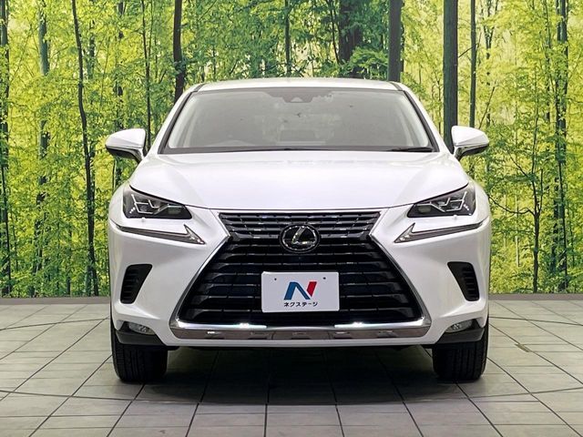 TOYOTA LEXUS NX300 2019 Image 31