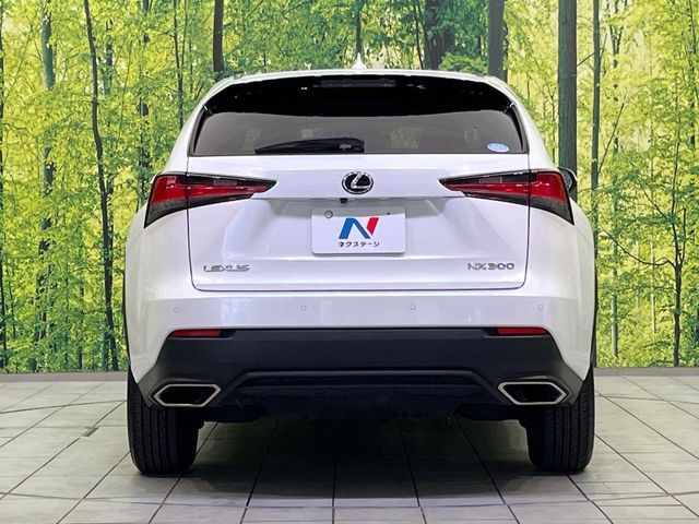 TOYOTA LEXUS NX300 2019 Image 31