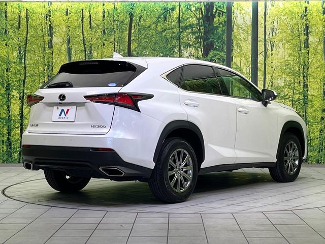 TOYOTA LEXUS NX300 2019 Image 31