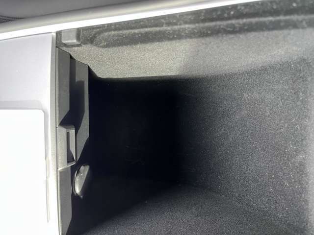 TESLA MODEL Y 2023 Image 31