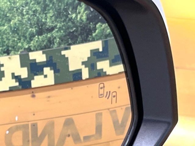 TOYOTA ALPHARD 2022 Image 31