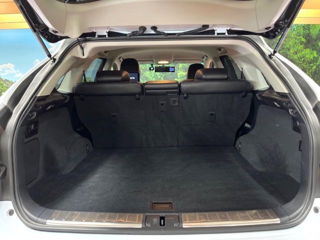 TOYOTA LEXUS RX450H AWD 2010 Image 31