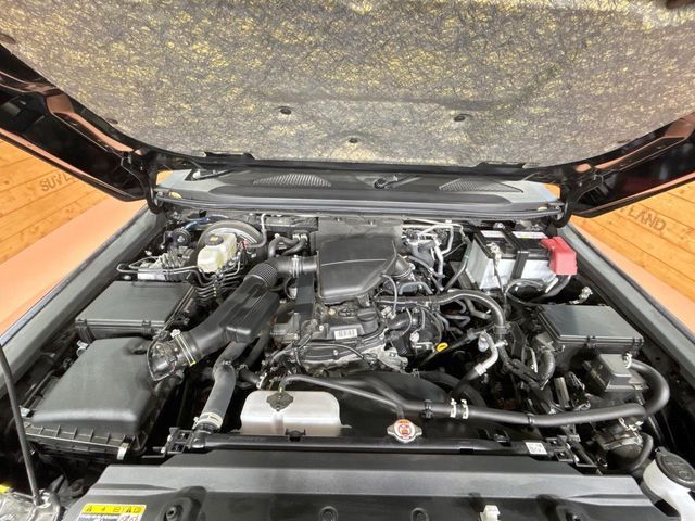 TOYOTA LANDCRUISER 250 2024 Image 31